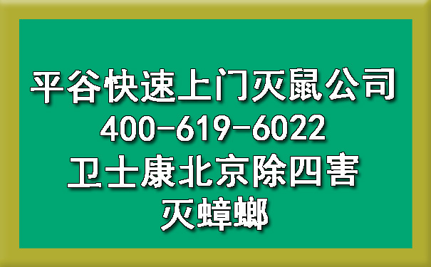 平谷快速上门灭鼠公司400-619-6022欧博游戏北京除四害灭蟑螂