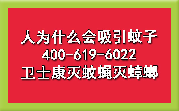 2024年人为什么会吸引蚊子400-619-6022欧博游戏灭蚊蝇灭蟑螂